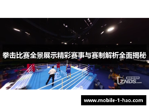 拳击比赛全景展示精彩赛事与赛制解析全面揭秘