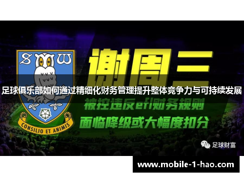 足球俱乐部如何通过精细化财务管理提升整体竞争力与可持续发展