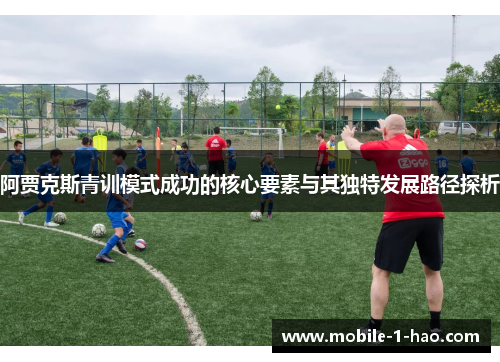 阿贾克斯青训模式成功的核心要素与其独特发展路径探析