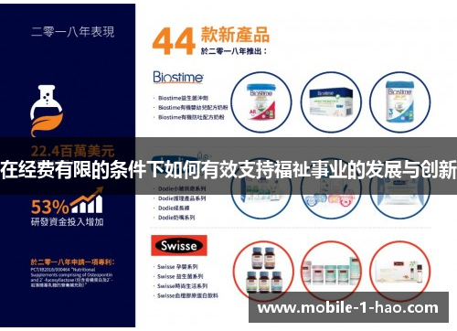 在经费有限的条件下如何有效支持福祉事业的发展与创新