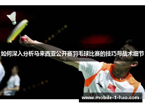如何深入分析马来西亚公开赛羽毛球比赛的技巧与战术细节