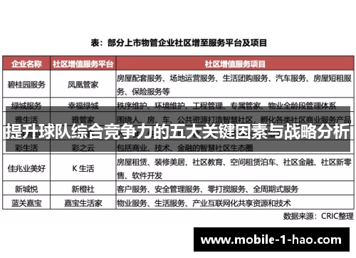 提升球队综合竞争力的五大关键因素与战略分析