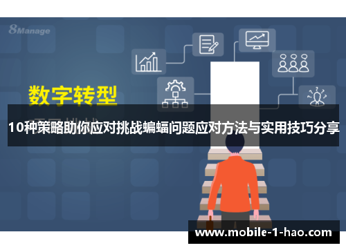 10种策略助你应对挑战蝙蝠问题应对方法与实用技巧分享