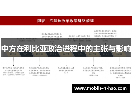 中方在利比亚政治进程中的主张与影响